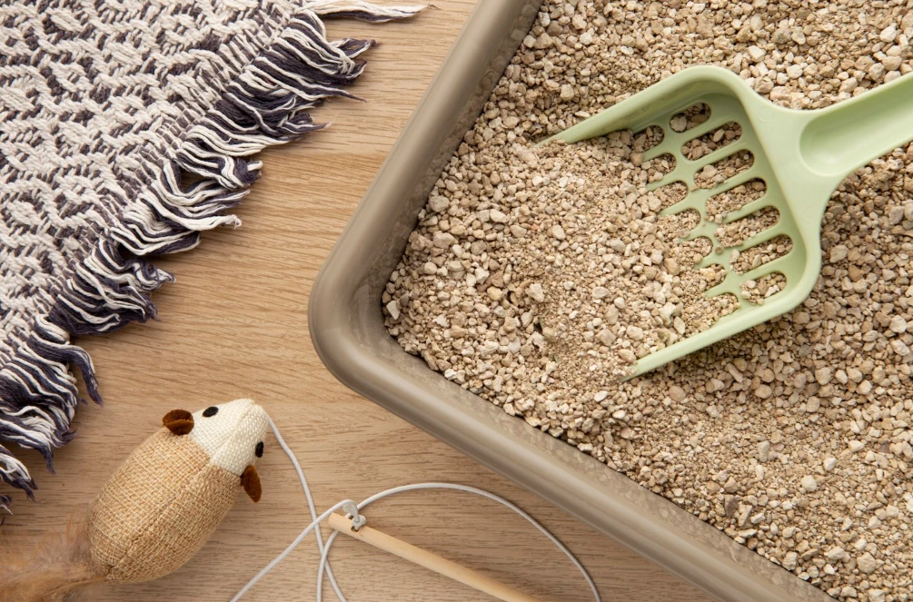 наполнитель для котов