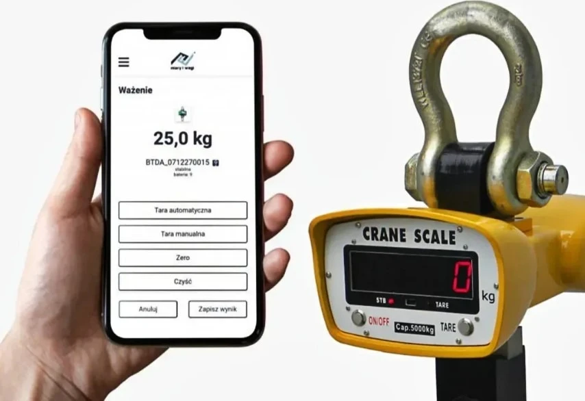 wagi hakowe do dźwigu