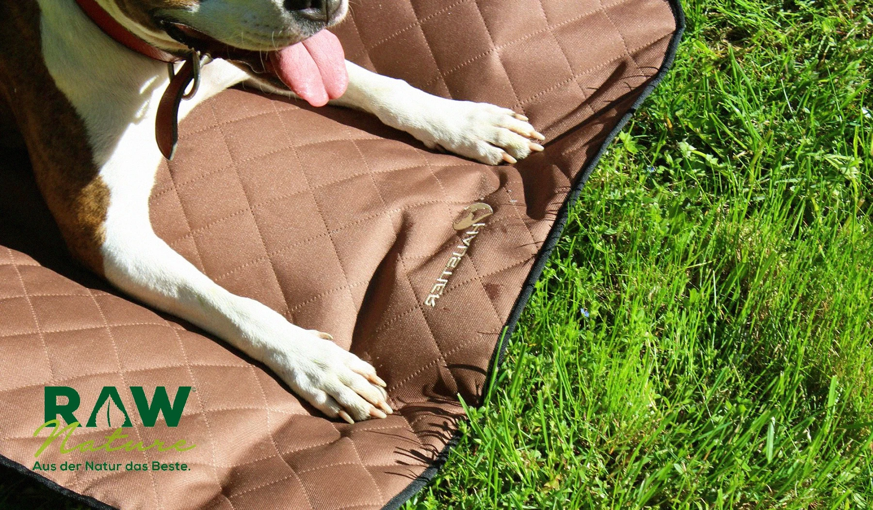 Welche Decke für Hunde sollte man in Deutschland kaufen?