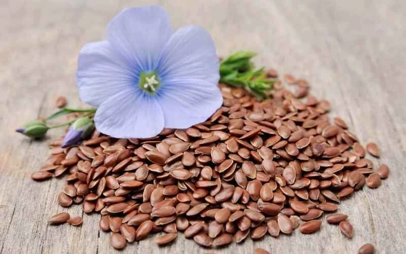 Семена льна