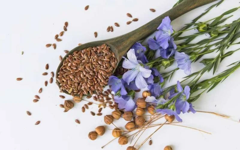 Семена льна - рис 2