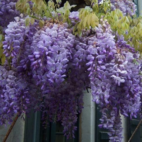 69b418f6a7701.webp