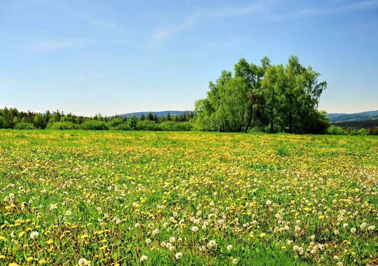 Весняний луг із зеленими деревами &mdash; відпочинок на природі весною недалеко від міста