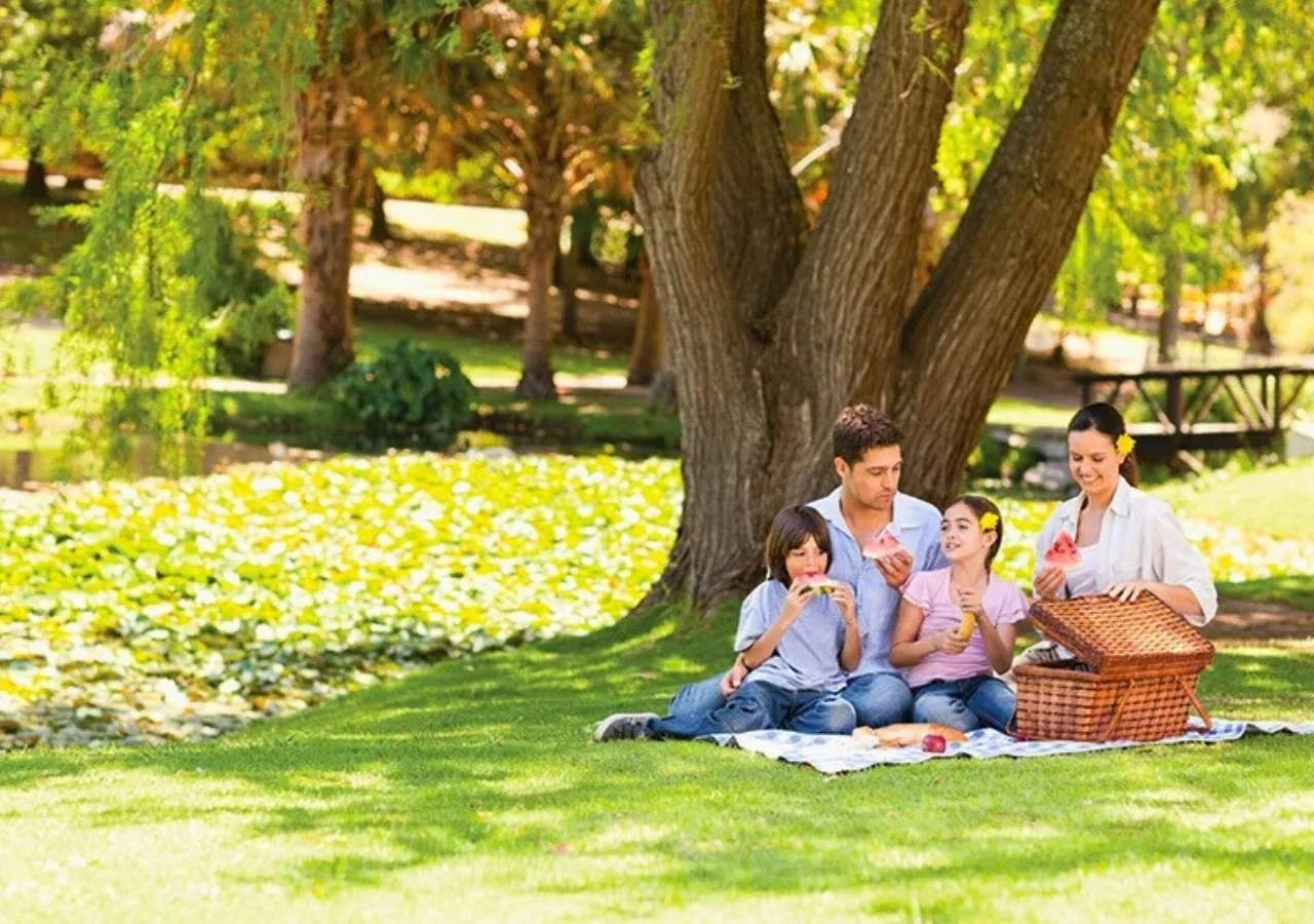 Сімейний пікнік на природі &mdash; сімейний відпочинок на природі під час вихідних