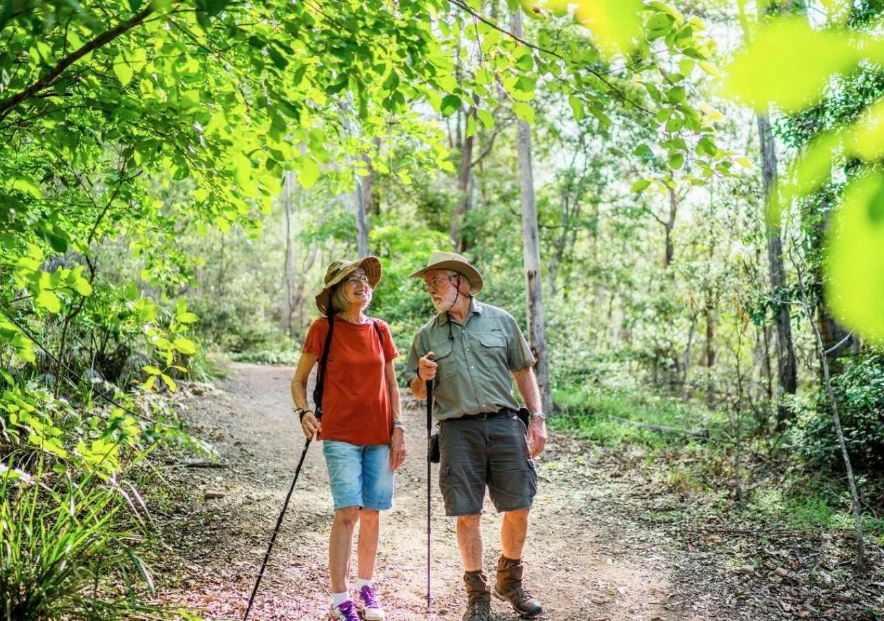 Прогулянка лісовою стежкою &mdash; відпочинок за містом навесні та короткі поїздки на природу