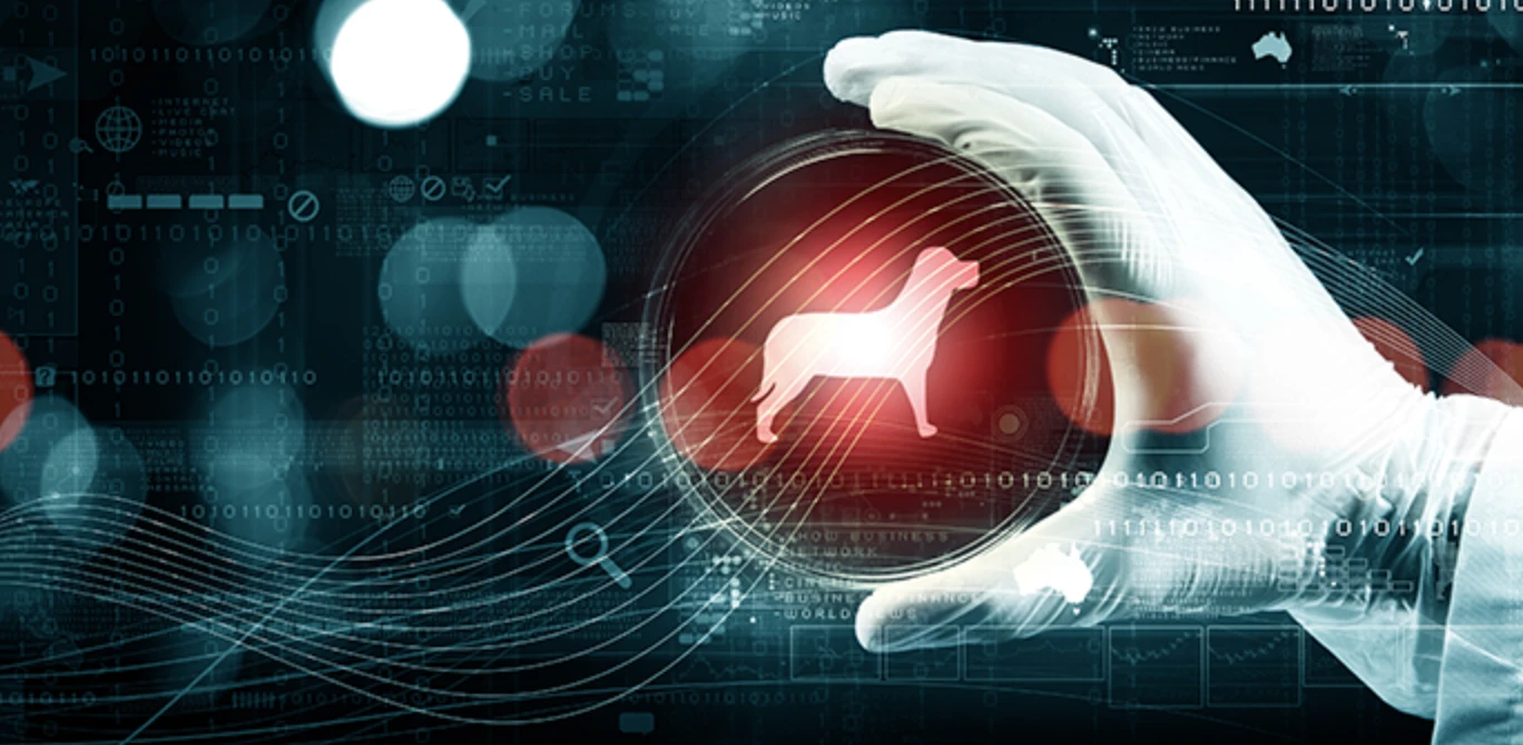 програма для ветеринарних клінік ENOTE