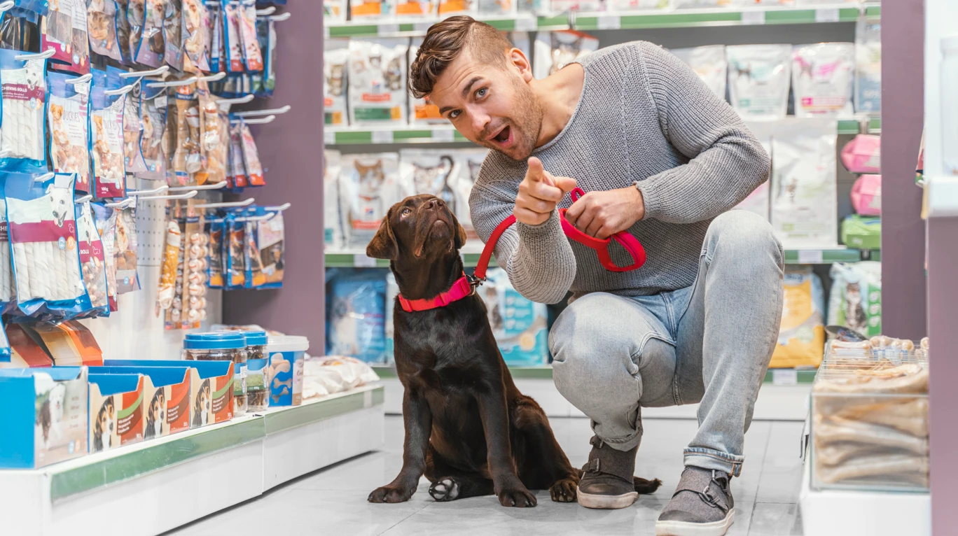 ������ � �����������