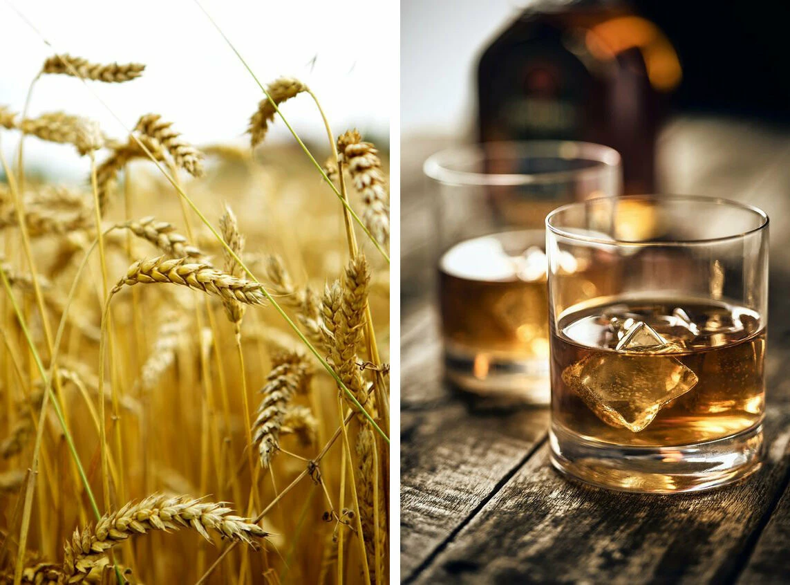 Отличия различных видов пищевого спирта