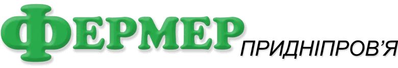69ca856717540.webp