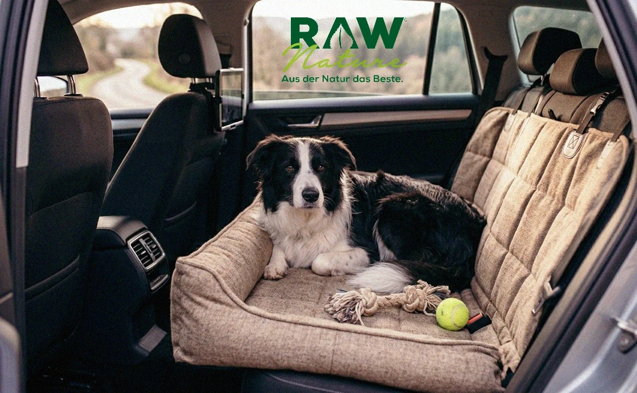 Hundematte: Vorteile, Tipps