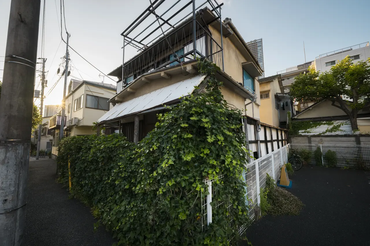 Затишний будинок із зеленими насадженнями та плющем. Варіант нерухомості «на землі» на Таїрова для тих, хто шукає тишу та приватність.