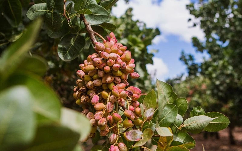 �������� � ��� 2