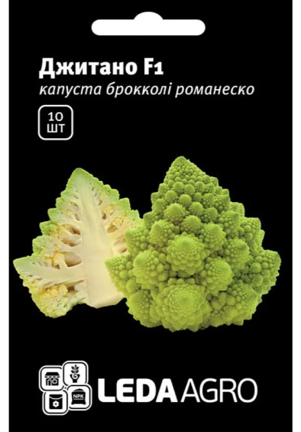 69e73dd6e3273.webp