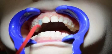 69ef6ae4784e5.webp
