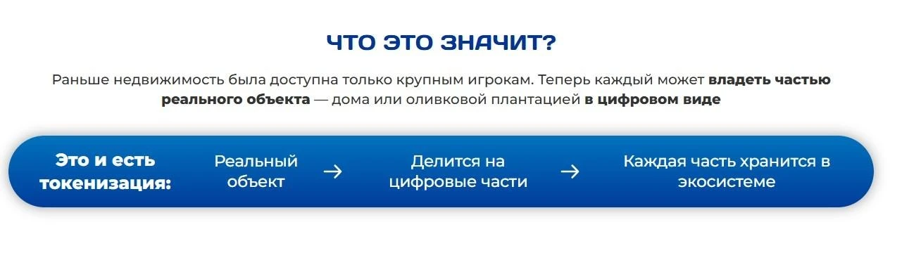 69fdbd2d25884.webp