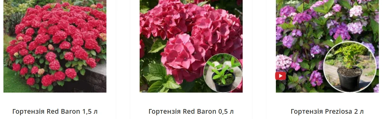 6a01b7fd891e1.webp