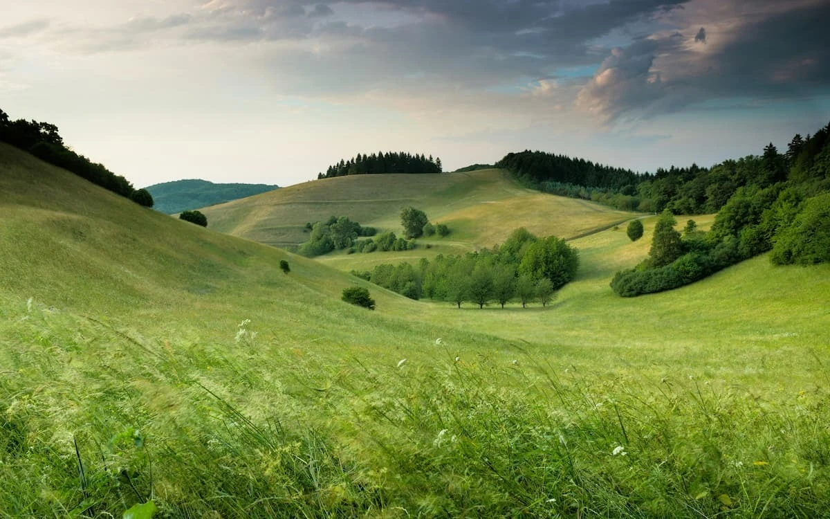 6a0ec9ff426ea.webp