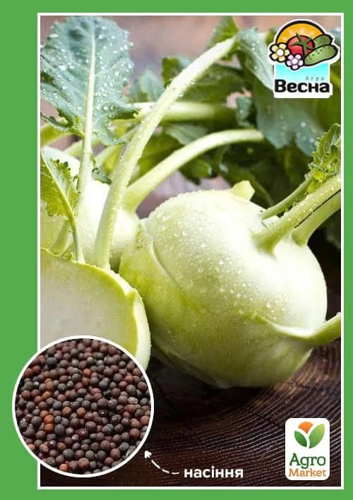 6a0feecc3d764.webp