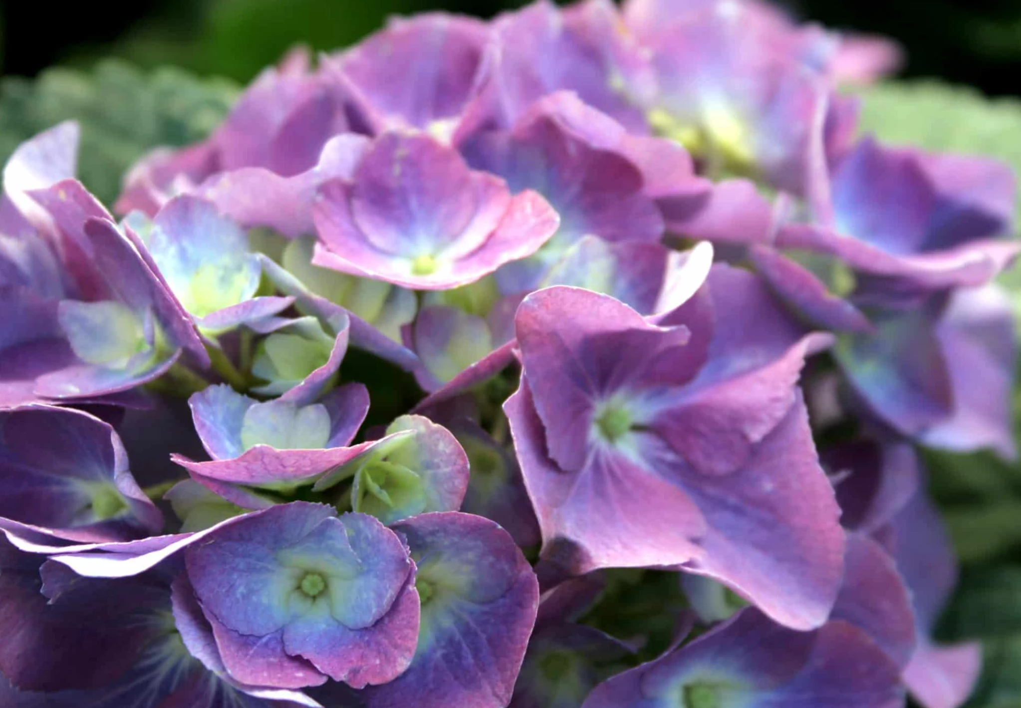 6a1038a8d4ad0.webp