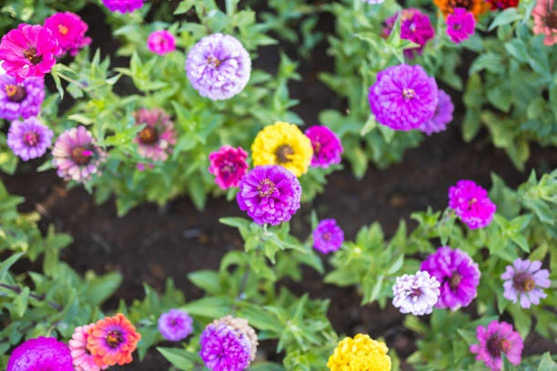 6a142a074e4cc.webp