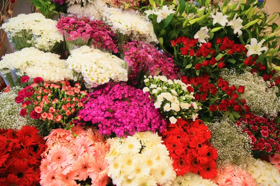 6a16e0b51e580.webp