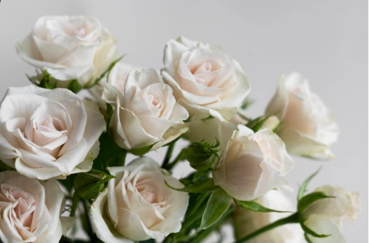 6a19a2e1a4223.webp