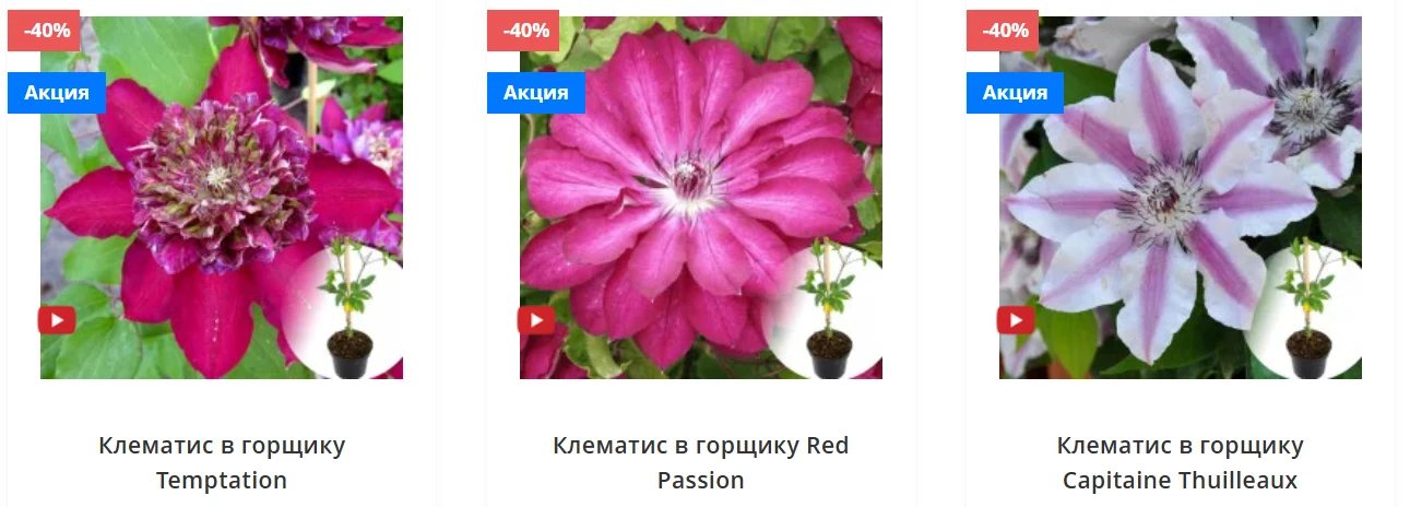 6a226d97f2cb1.webp