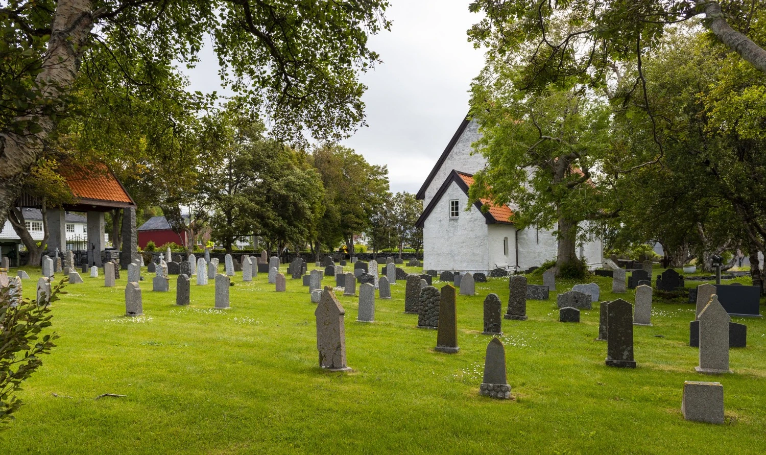 6a2bc9ff44121.webp