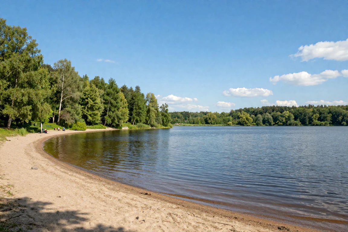 6a3d3682a9b91.webp