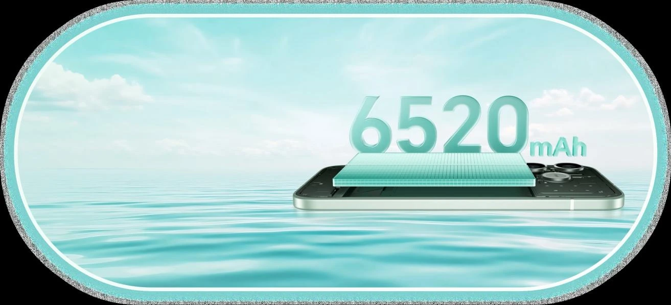 6a44d6417bbe1.webp