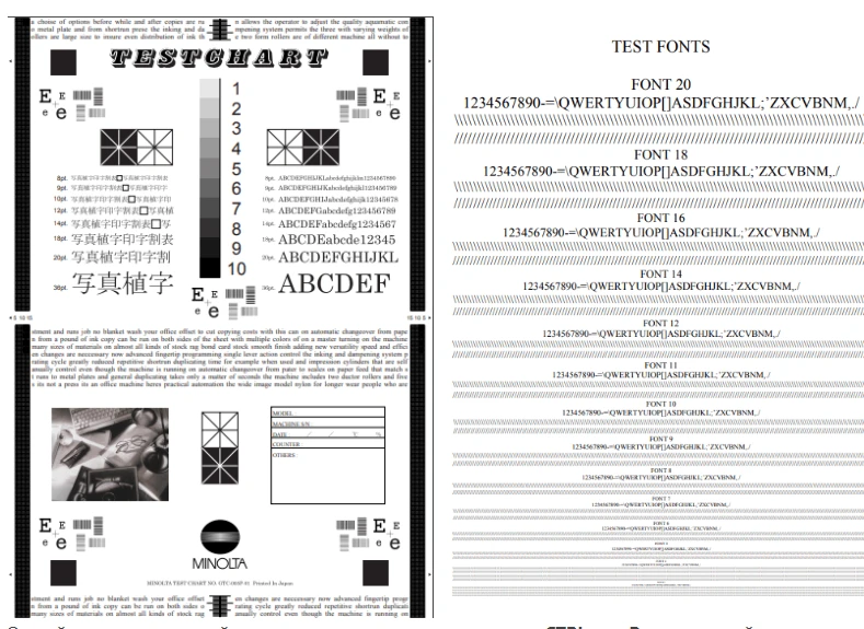 6a4f8e2896f9b.webp