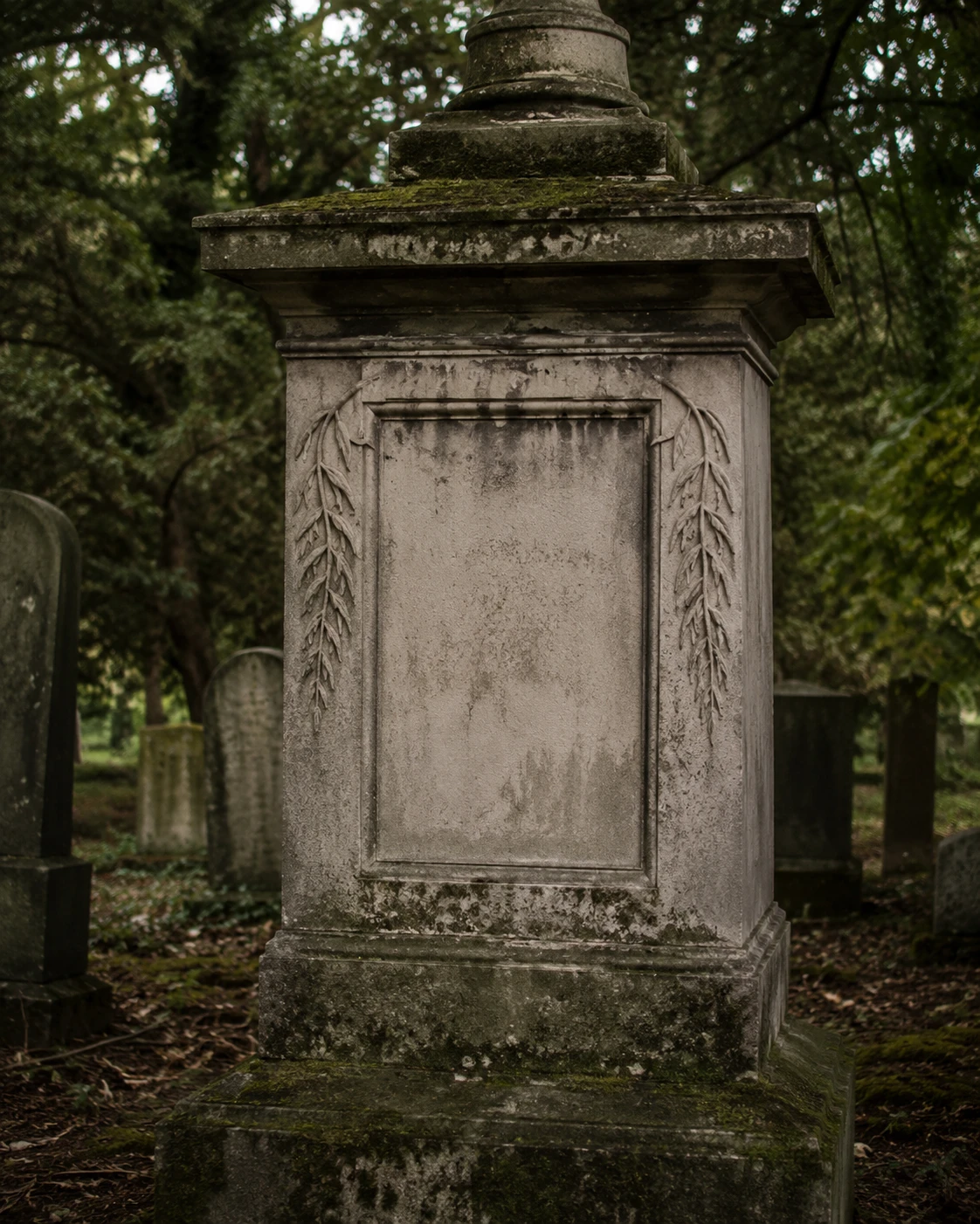 6a57ce78af7c3.webp