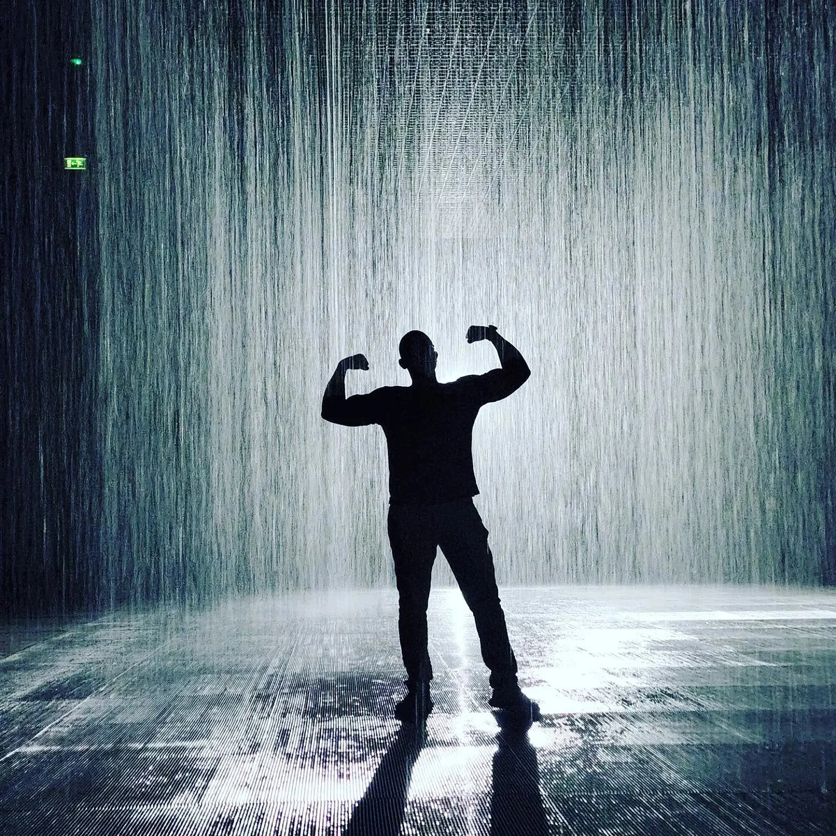 The Rain Room