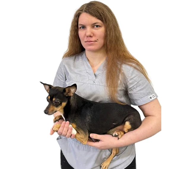 6a5aa69ca3614.webp