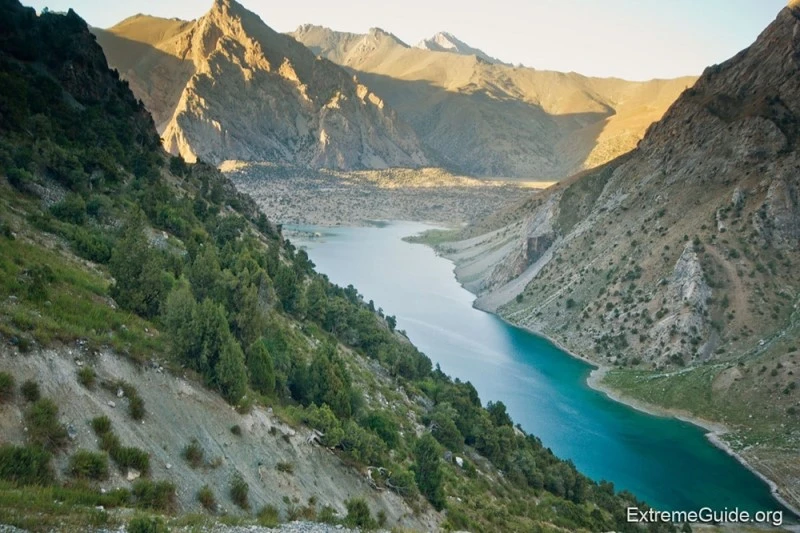 6a5e48ba31371.webp