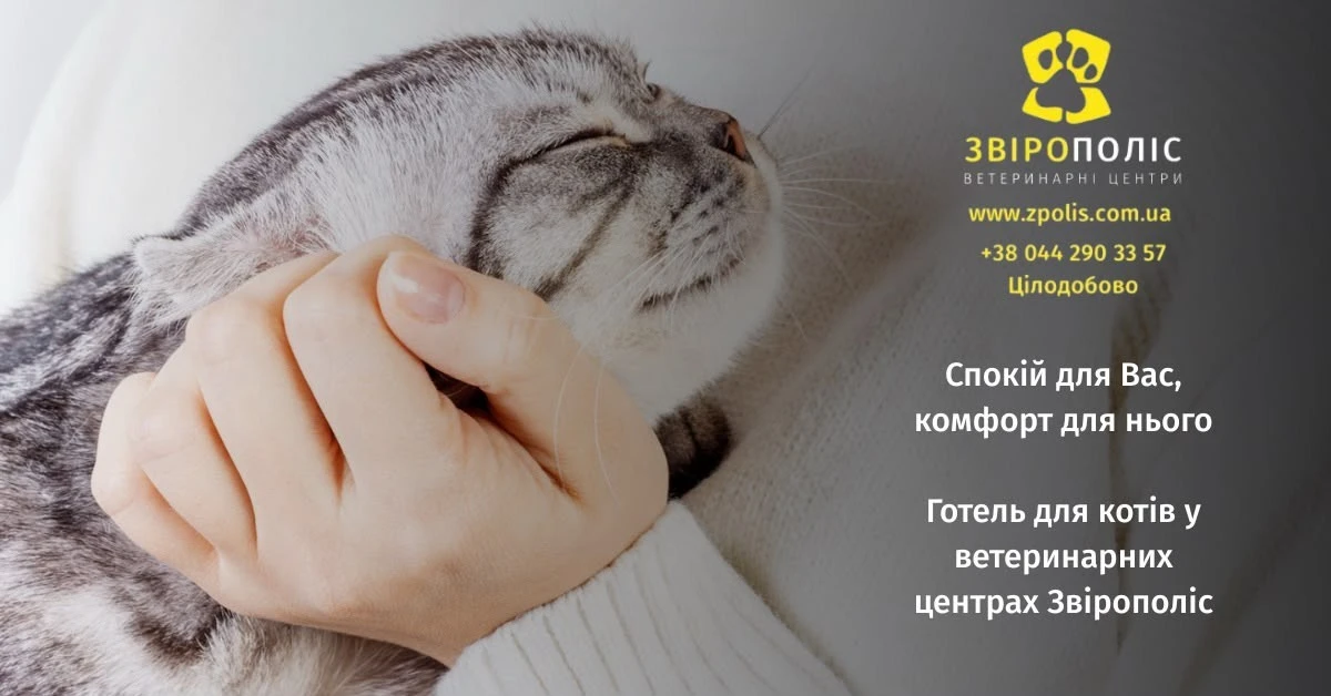 6a5e54aecbb58.webp