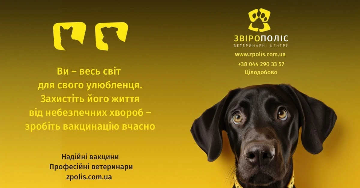 6a5e54d923068.webp