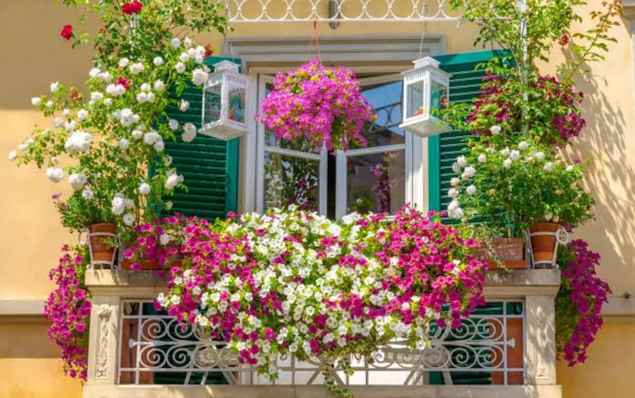 6a5fb6c10f509.webp