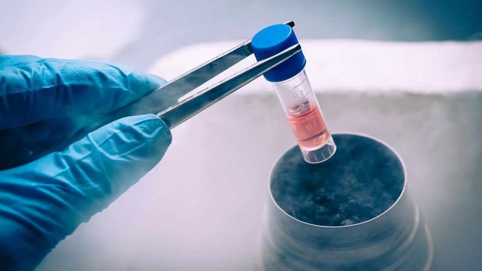 https://arkcryo.com