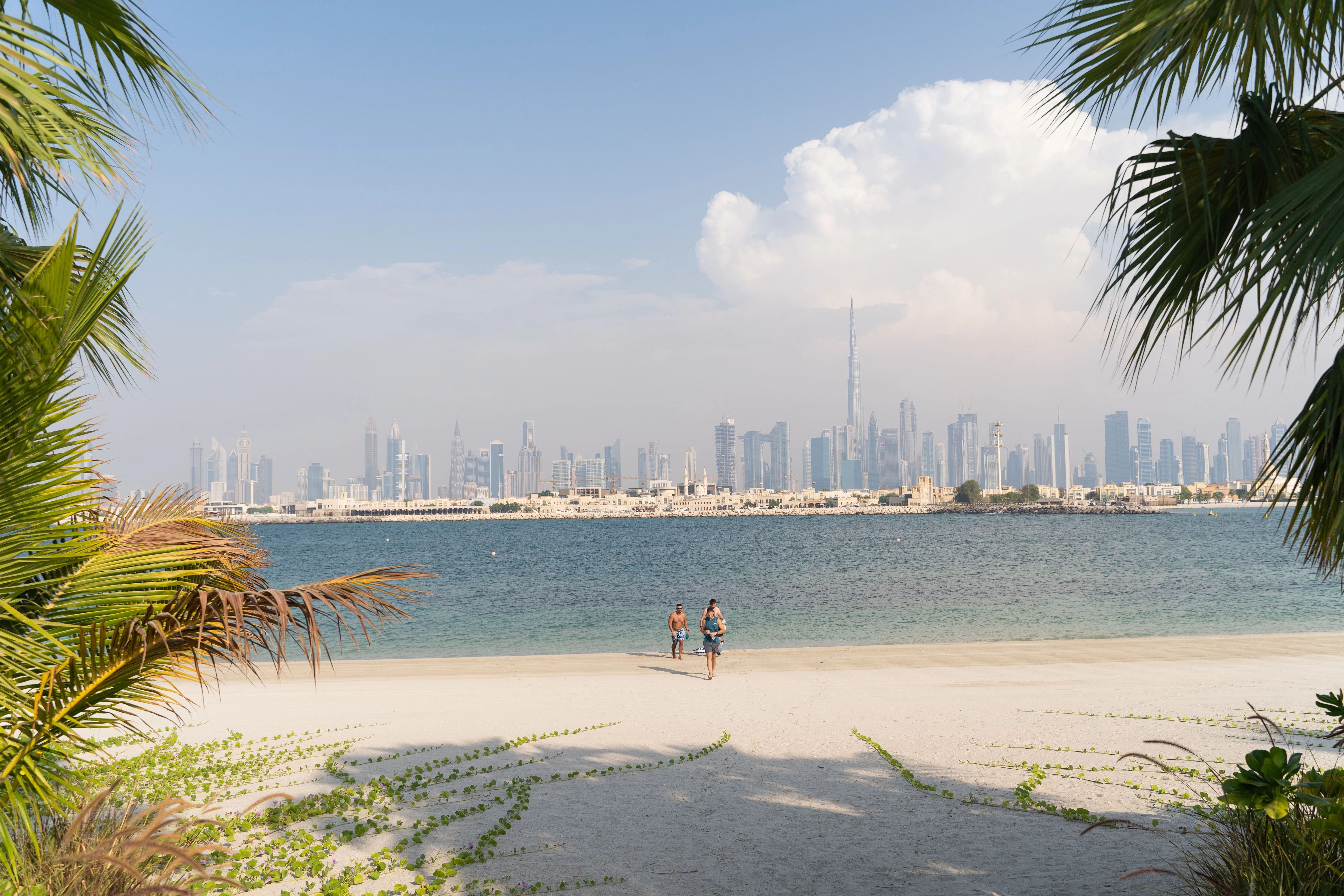 Sunny Dubai beach with palm trees and the city skyline