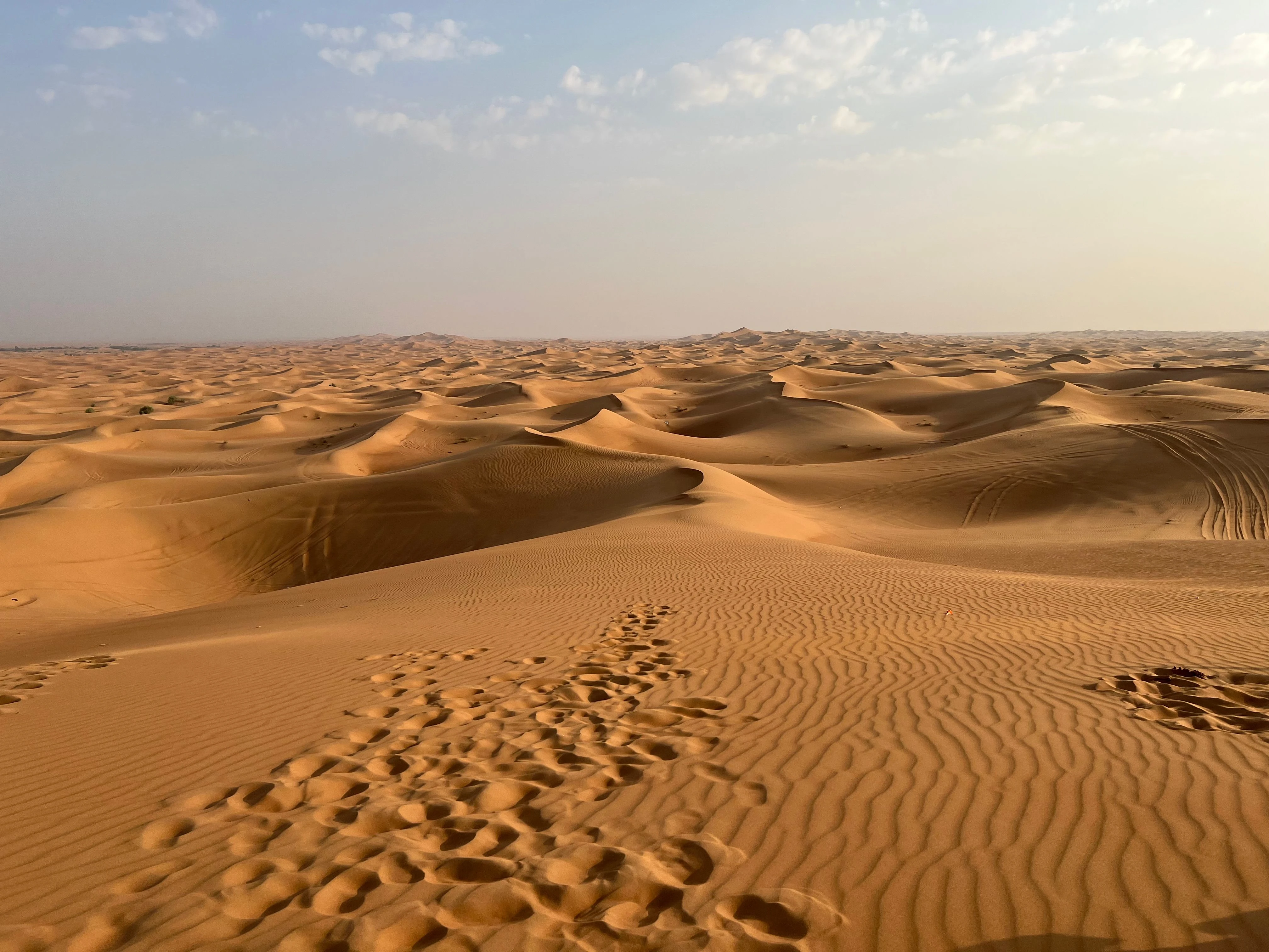 Golden sand dunes in the Dubai desert at sunrise