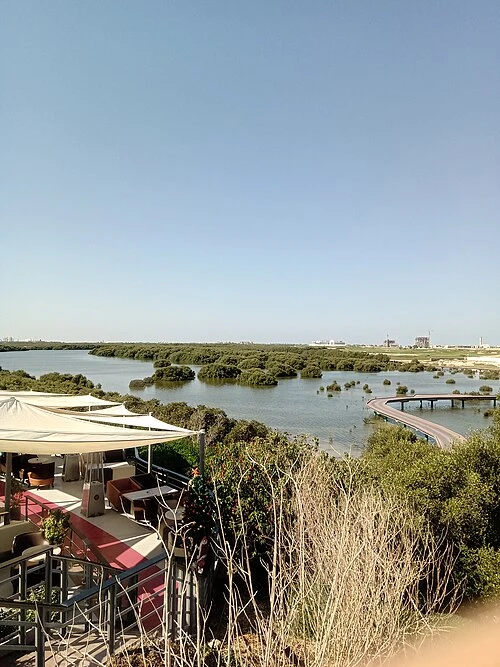 6a6c778c37e74.webp