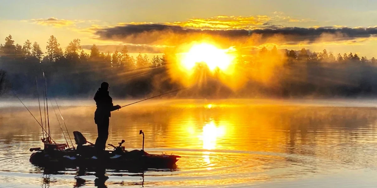 6a79c24e0c925.webp
