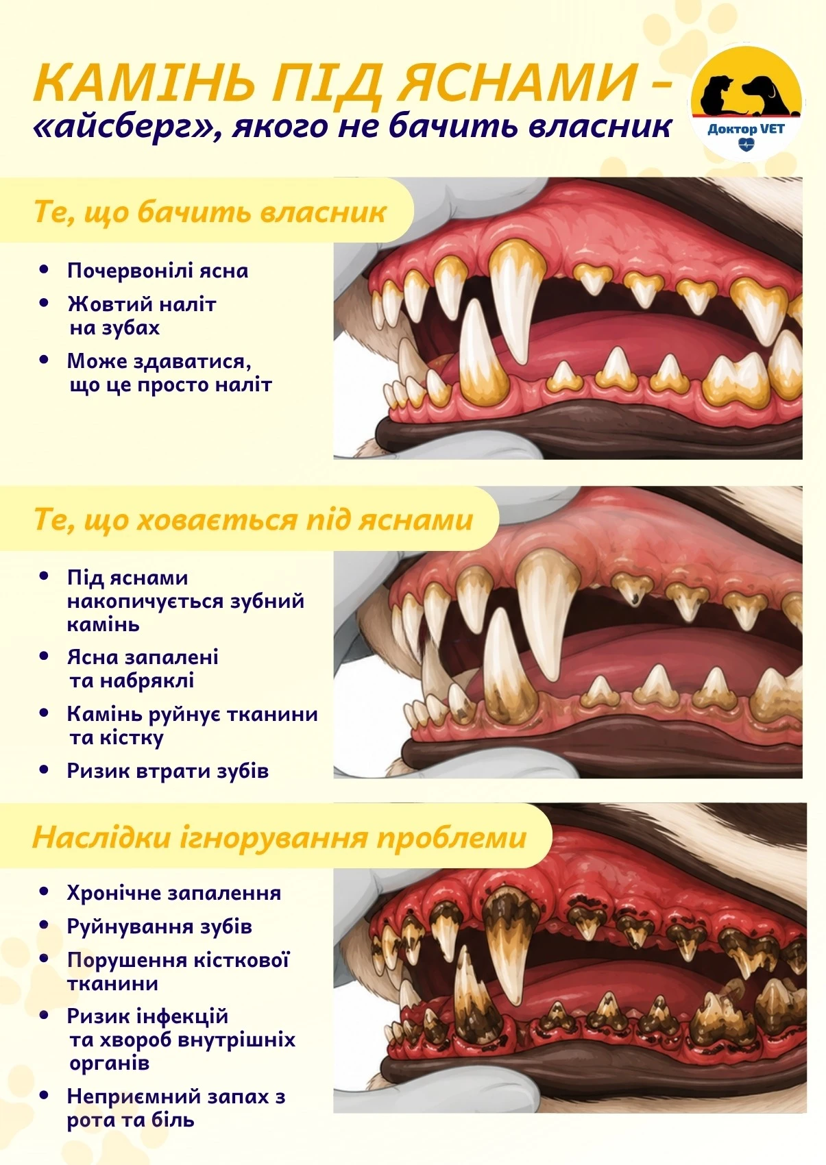 6a7f6e8000576.webp