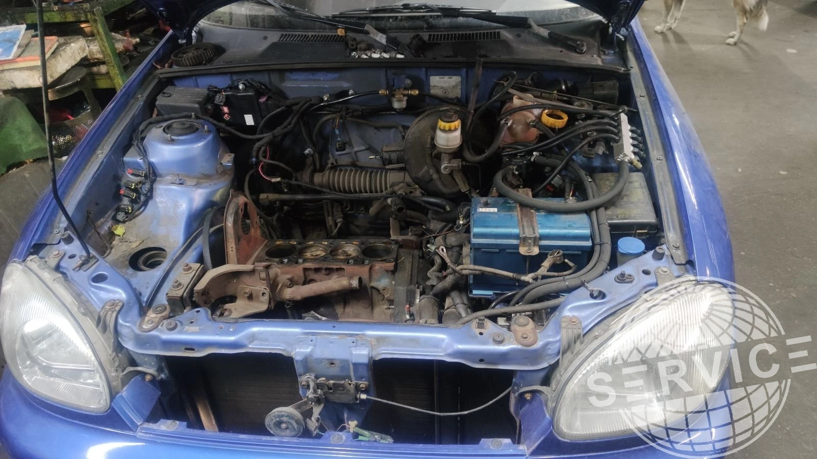 6a82ce27136c7.webp