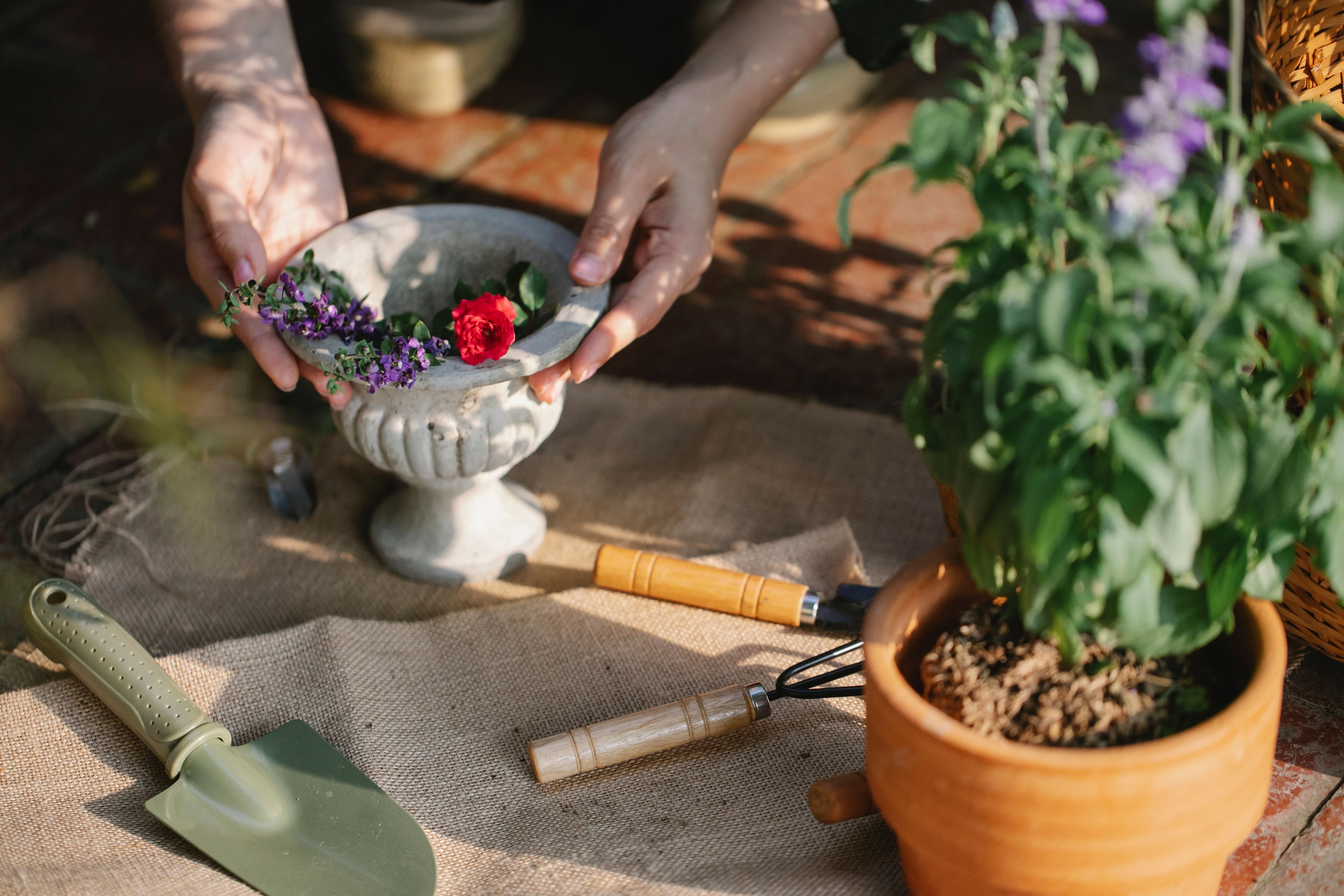 how-to-plan-a-landscaping-project-from-start-to-finish