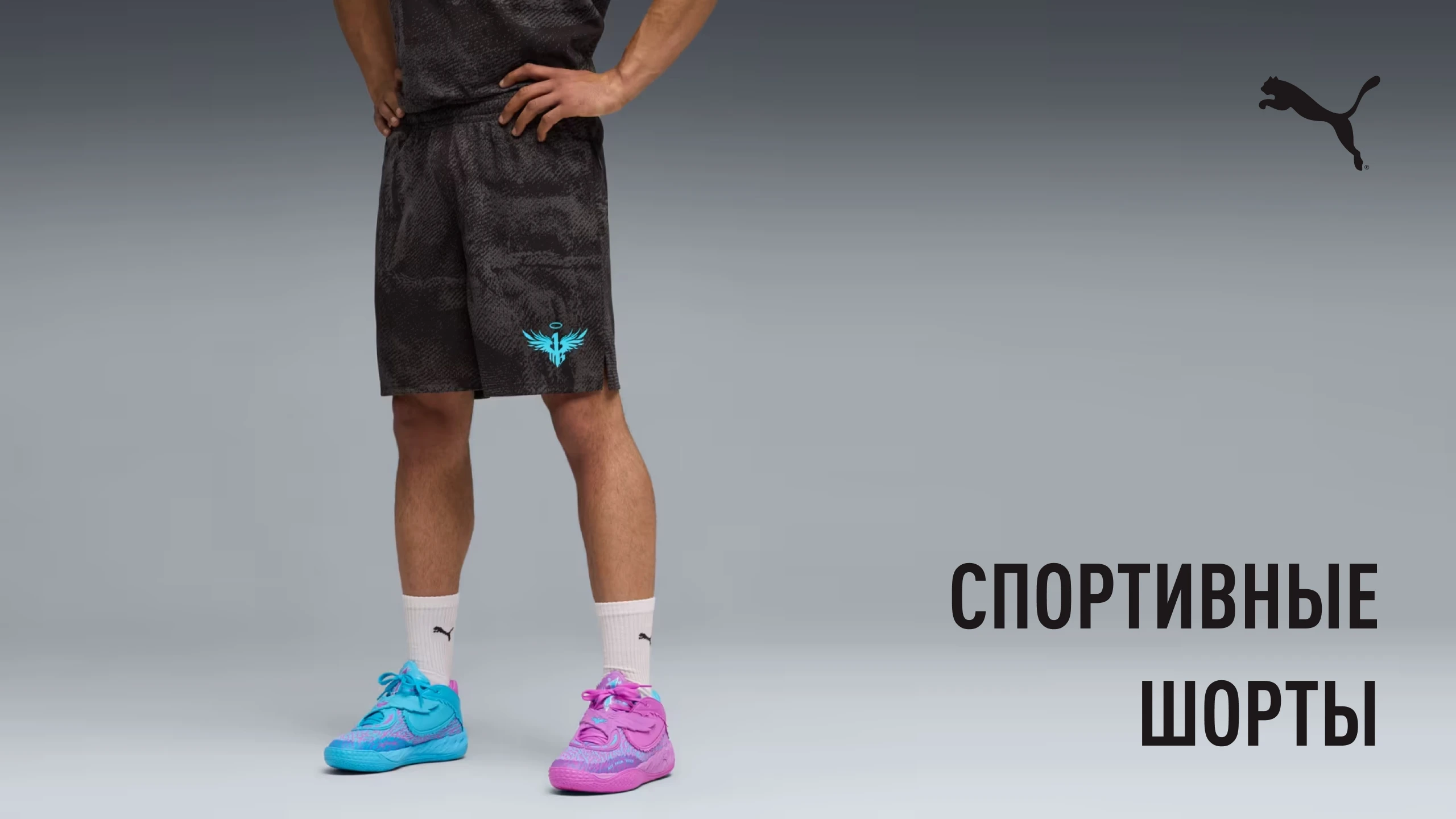 6a91f6e395b51.webp