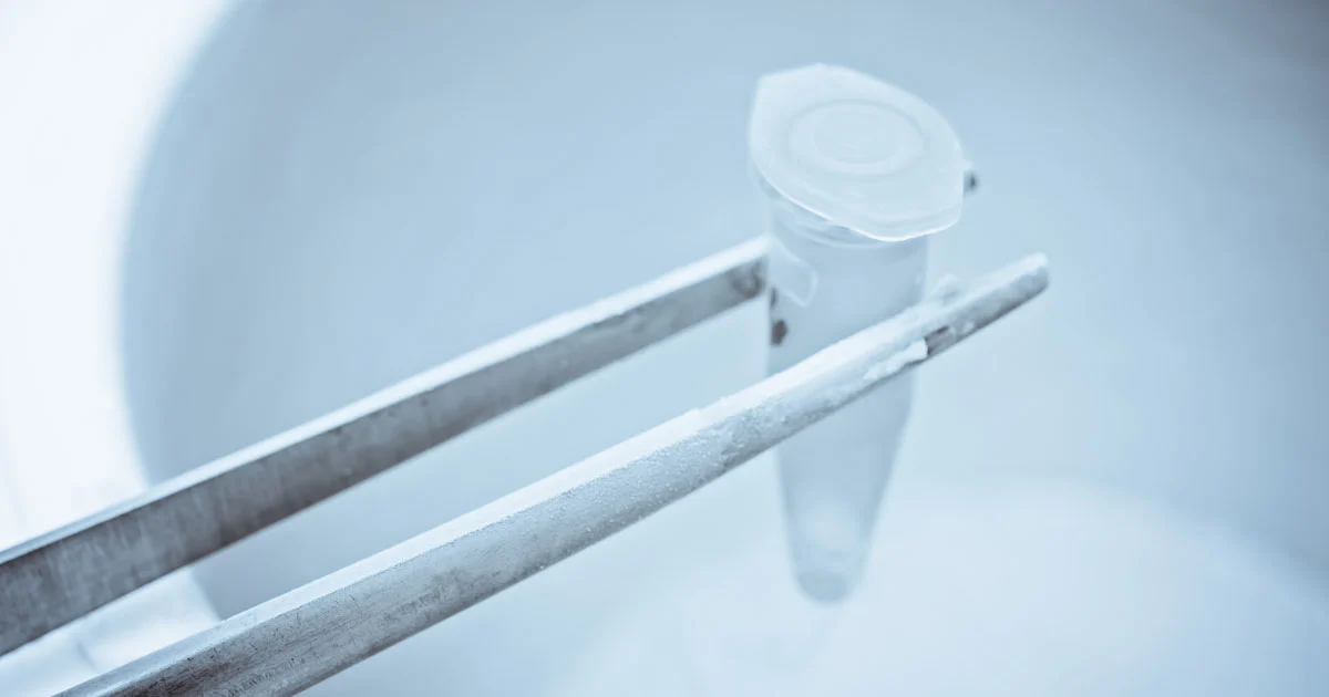 Аrkcryo