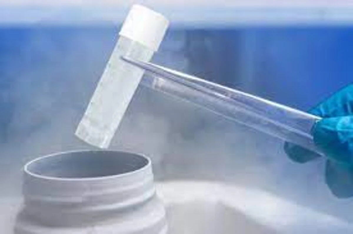 Аrkcryo