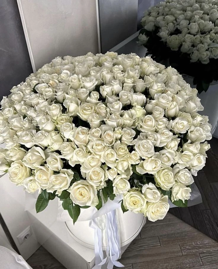 6a9dbaf4cb42a.webp